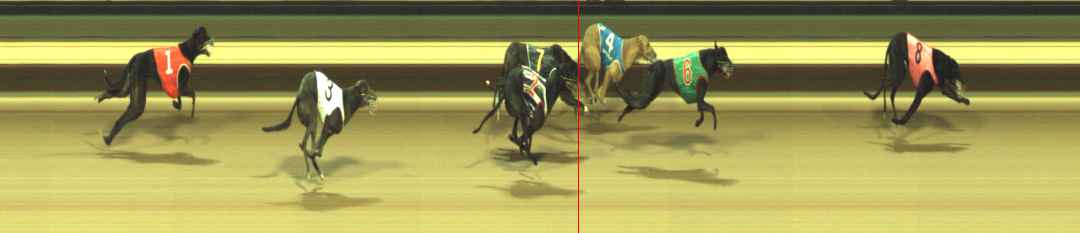 Photo finish for Warragul Race 1