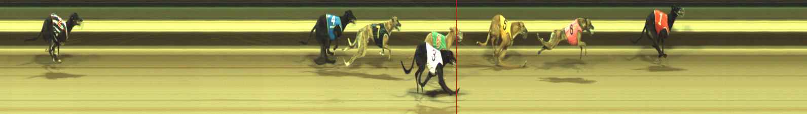 Photo finish for Warragul Race 2