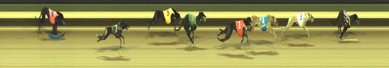 Photo finish for Warragul Race 4
