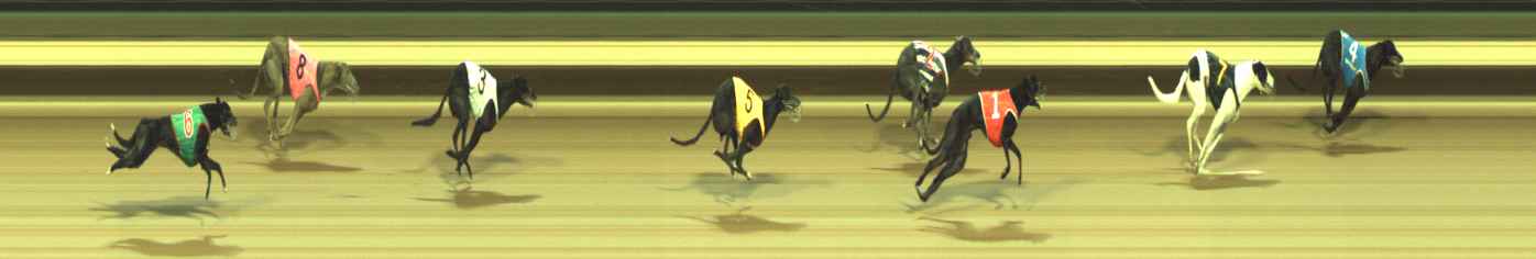Photo finish for Warragul Race 5