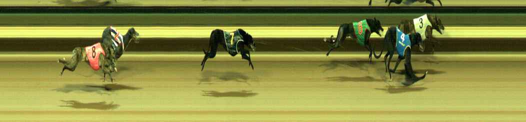 Photo finish for Warragul Race 6