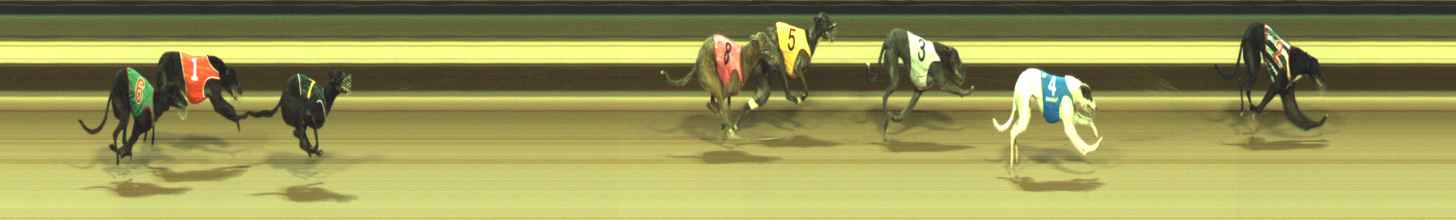 Photo finish for Warragul Race 7