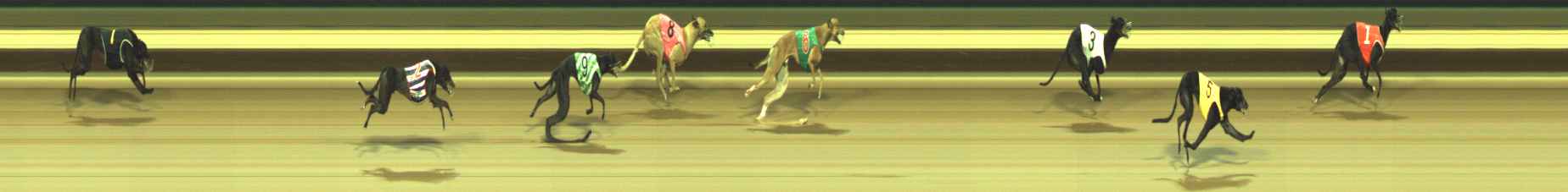 Photo finish for Warragul Race 8