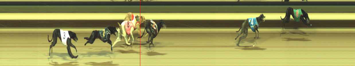 Photo finish for Warragul Race 11