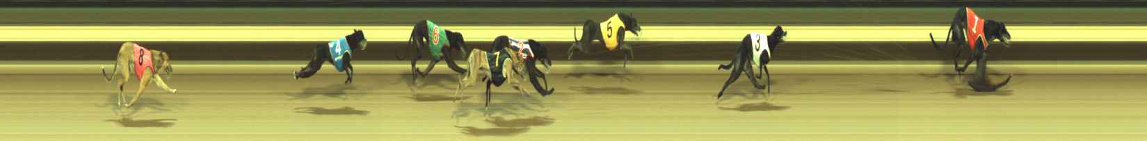 Photo finish for Warragul Race 12