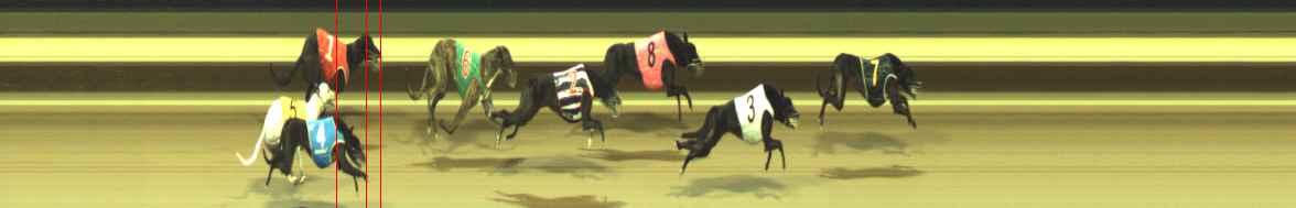 Photo finish for Warragul Race 2