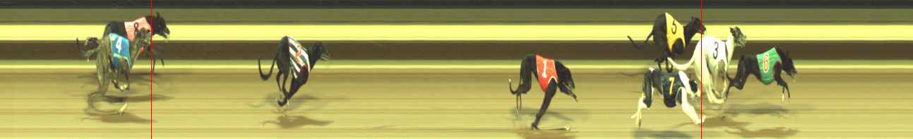 Photo finish for Warragul Race 3