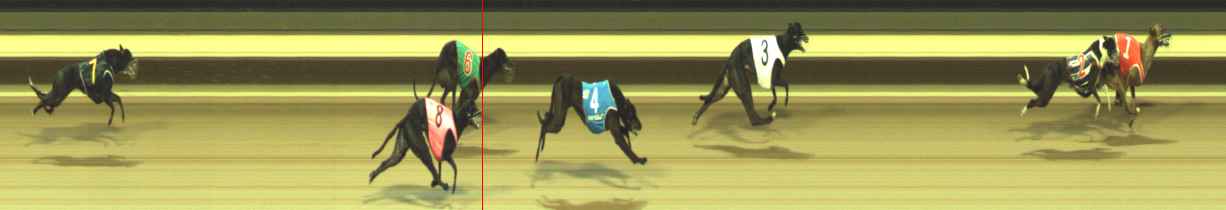 Photo finish for Warragul Race 4