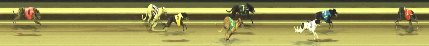Photo finish for Warragul Race 6