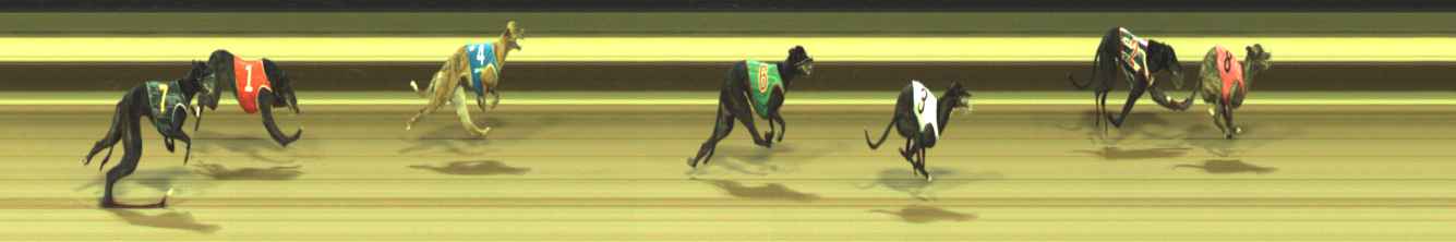 Photo finish for Warragul Race 7