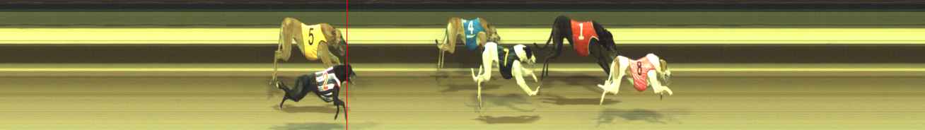 Photo finish for Warragul Race 4