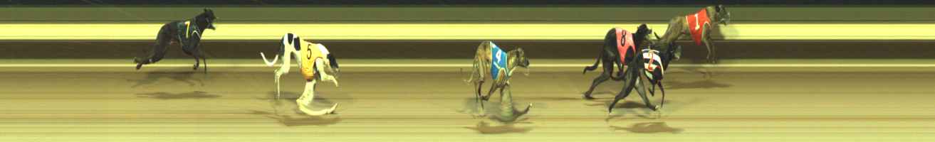 Photo finish for Warragul Race 11