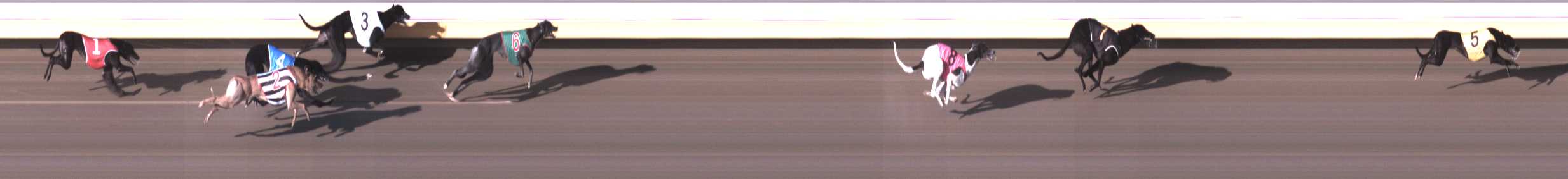 Photo finish for Warrnambool Race 1