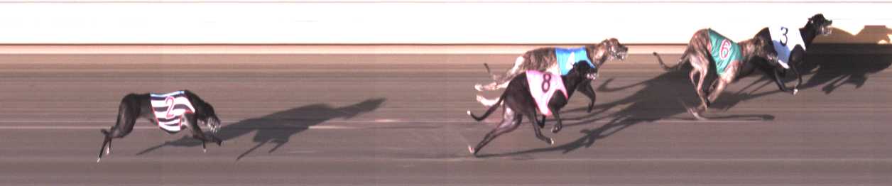 Photo finish for Warrnambool Race 3