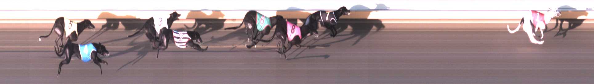 Photo finish for Warrnambool Race 4