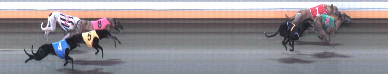 Photo finish for Warrnambool Race 6