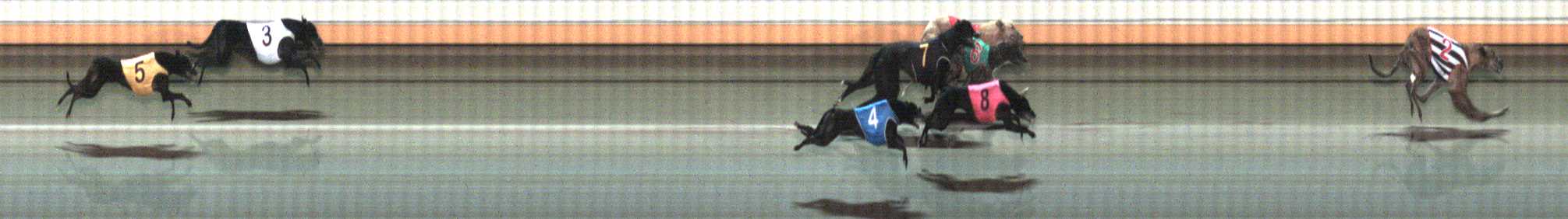 Photo finish for Warrnambool Race 10