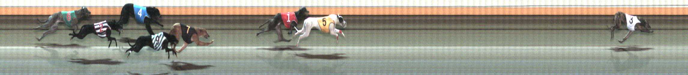 Photo finish for Warrnambool Race 12