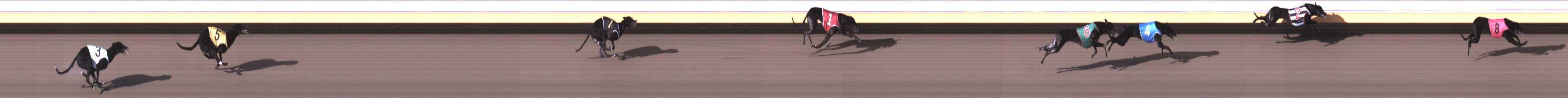 Photo finish for Warrnambool Race 1