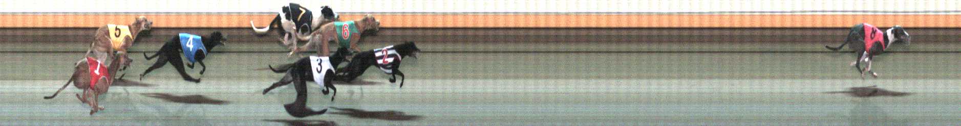 Photo finish for Warrnambool Race 10