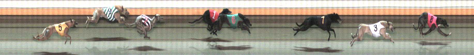 Photo finish for Warrnambool Race 11