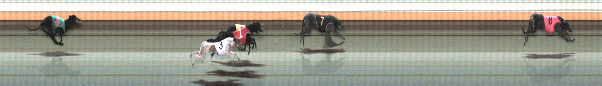 Photo finish for Warrnambool Race 12