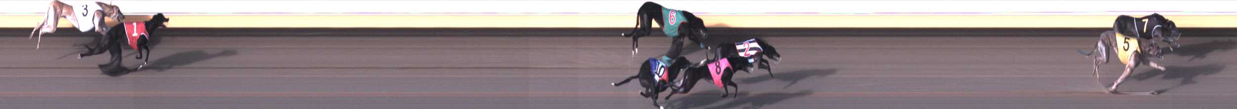Photo finish for Warrnambool Race 2