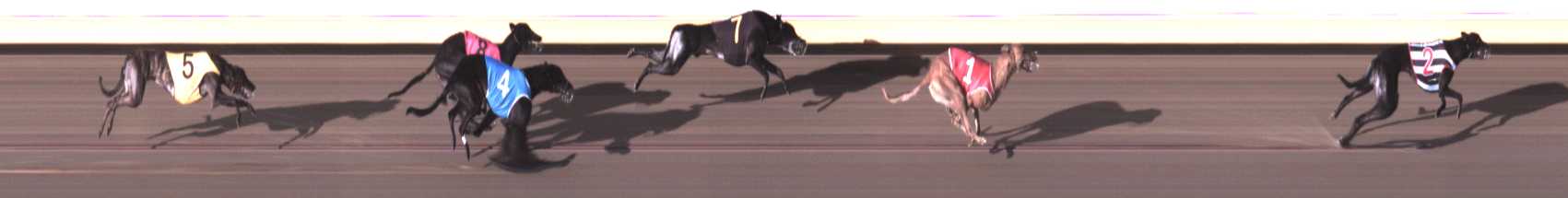 Photo finish for Warrnambool Race 3