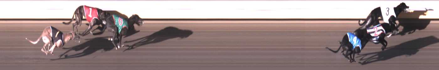 Photo finish for Warrnambool Race 4
