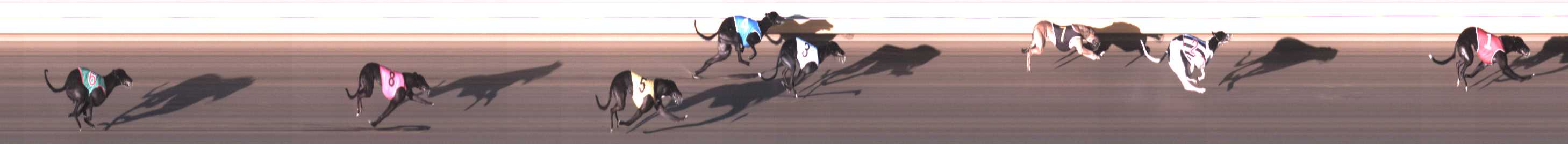 Photo finish for Warrnambool Race 5
