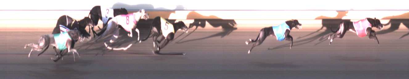 Photo finish for Warrnambool Race 6