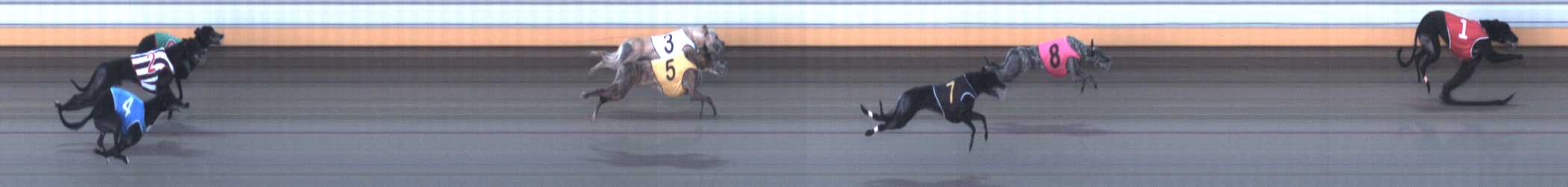 Photo finish for Warrnambool Race 7