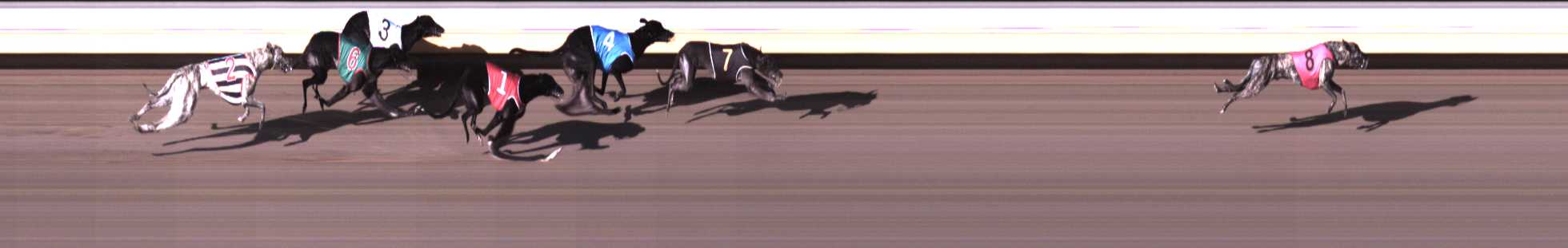 Photo finish for Warrnambool Race 1