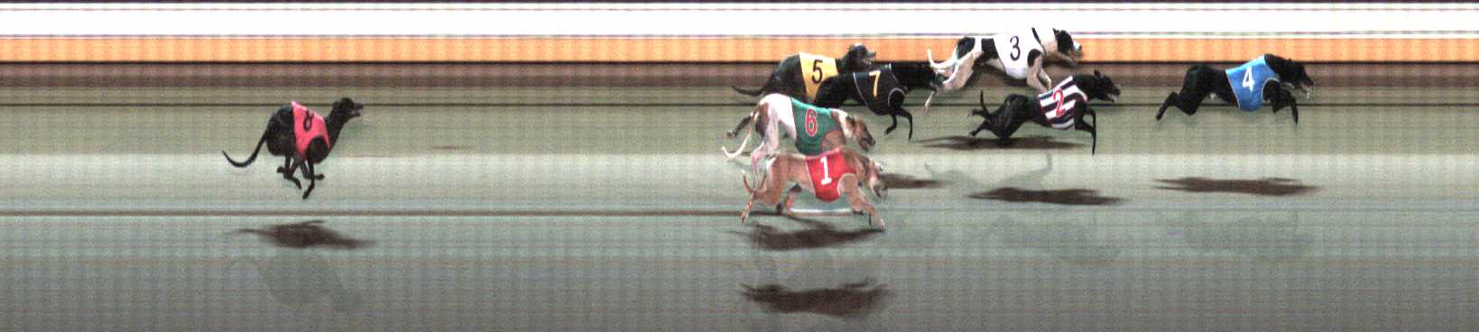 Photo finish for Warrnambool Race 10