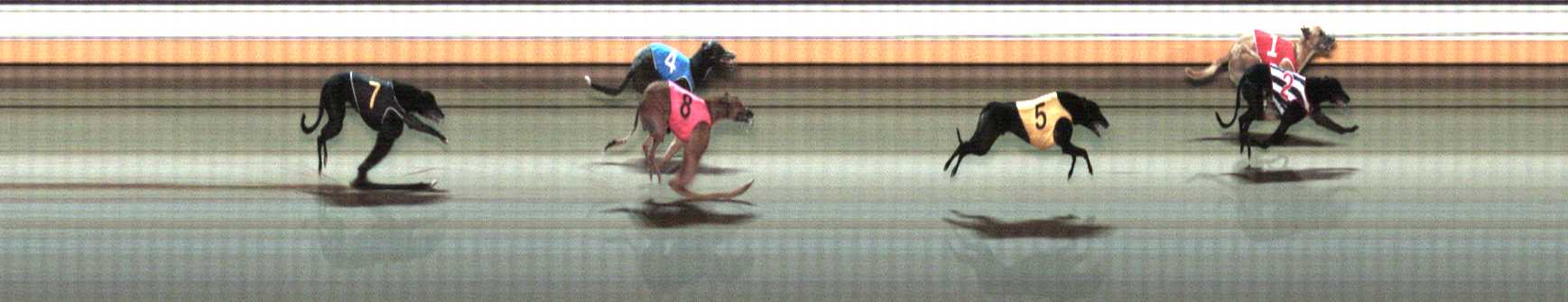 Photo finish for Warrnambool Race 11