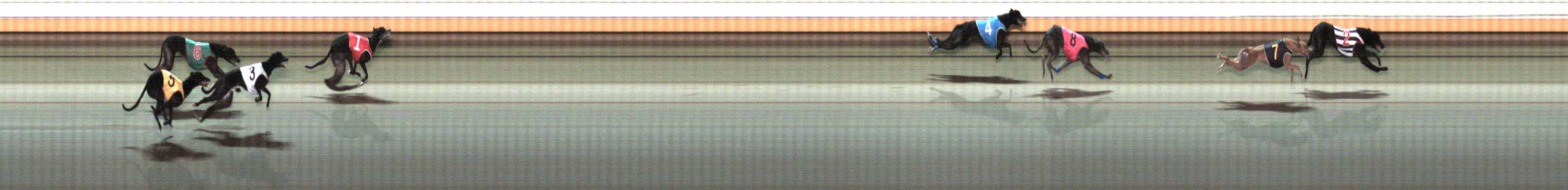 Photo finish for Warrnambool Race 12