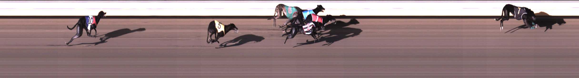 Photo finish for Warrnambool Race 2