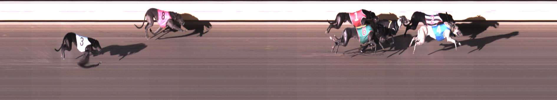 Photo finish for Warrnambool Race 3