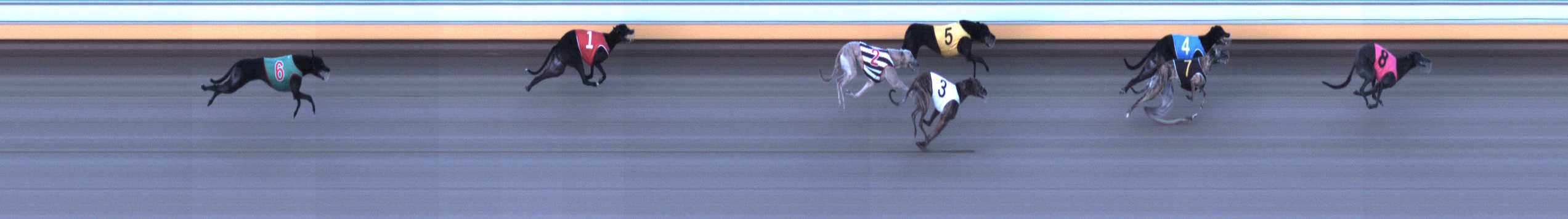 Photo finish for Warrnambool Race 6