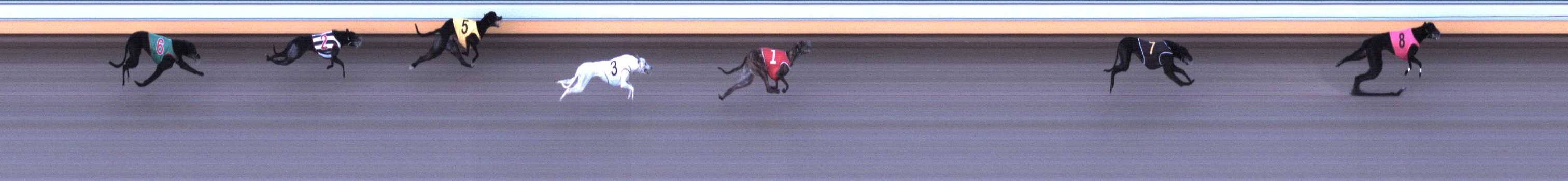 Photo finish for Warrnambool Race 7