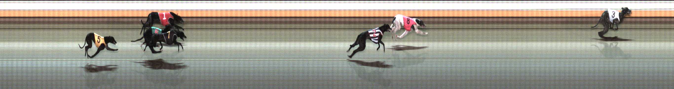 Photo finish for Warrnambool Race 9