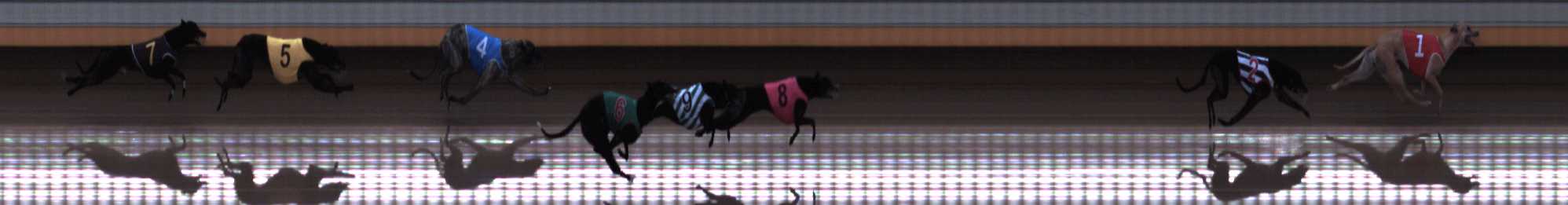 Photo finish for Warrnambool Race 2