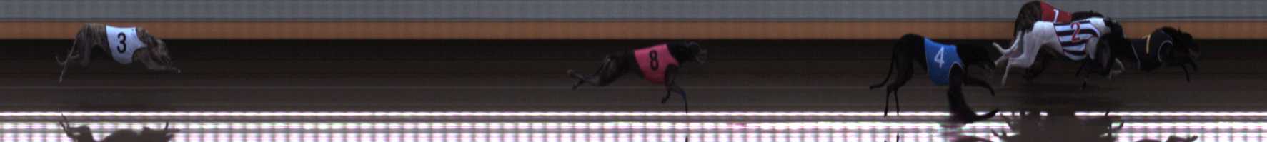 Photo finish for Warrnambool Race 3