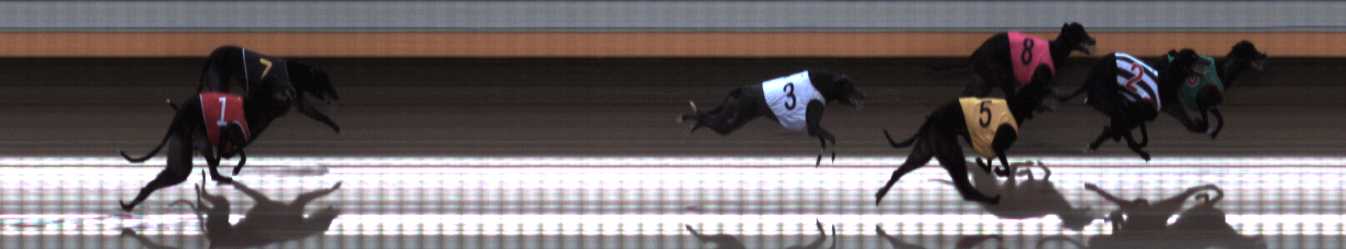 Photo finish for Warrnambool Race 4