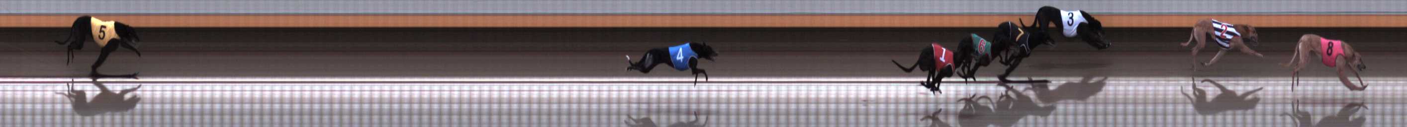 Photo finish for Warrnambool Race 5