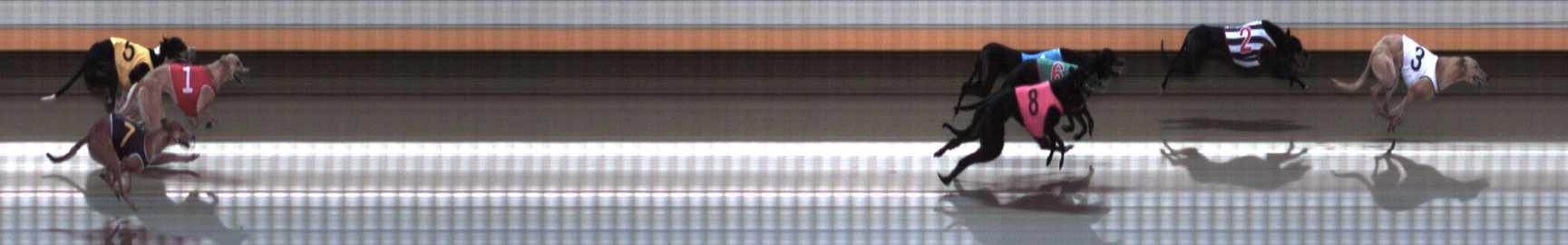 Photo finish for Warrnambool Race 7