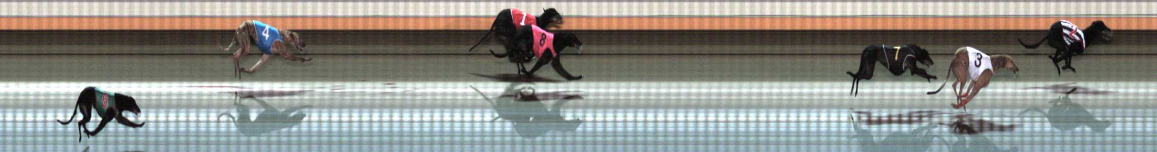 Photo finish for Warrnambool Race 10