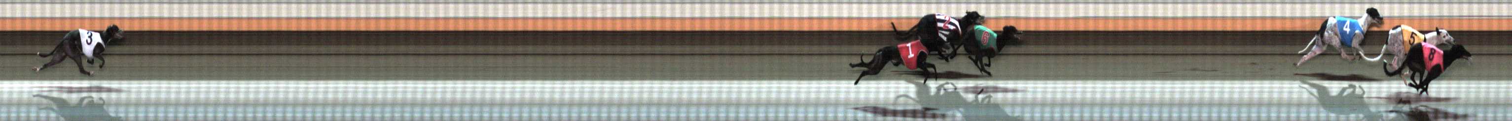 Photo finish for Warrnambool Race 11
