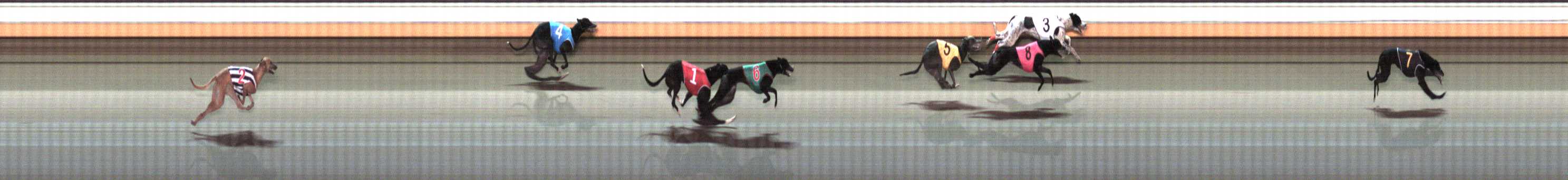Photo finish for Warrnambool Race 10