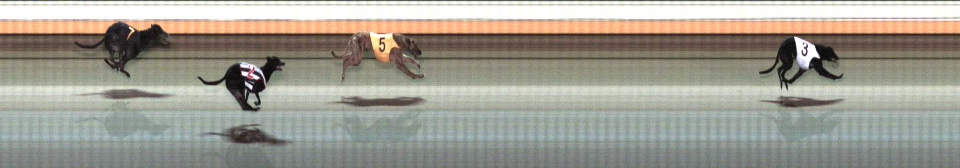 Photo finish for Warrnambool Race 11